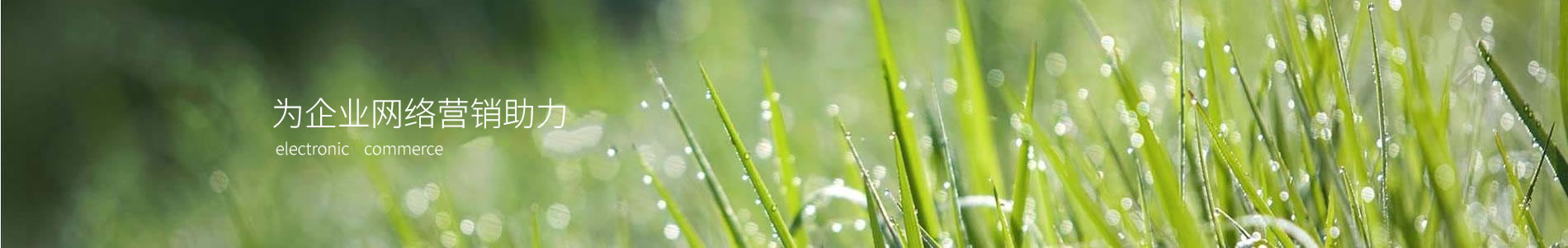 ƹҵ޹˾